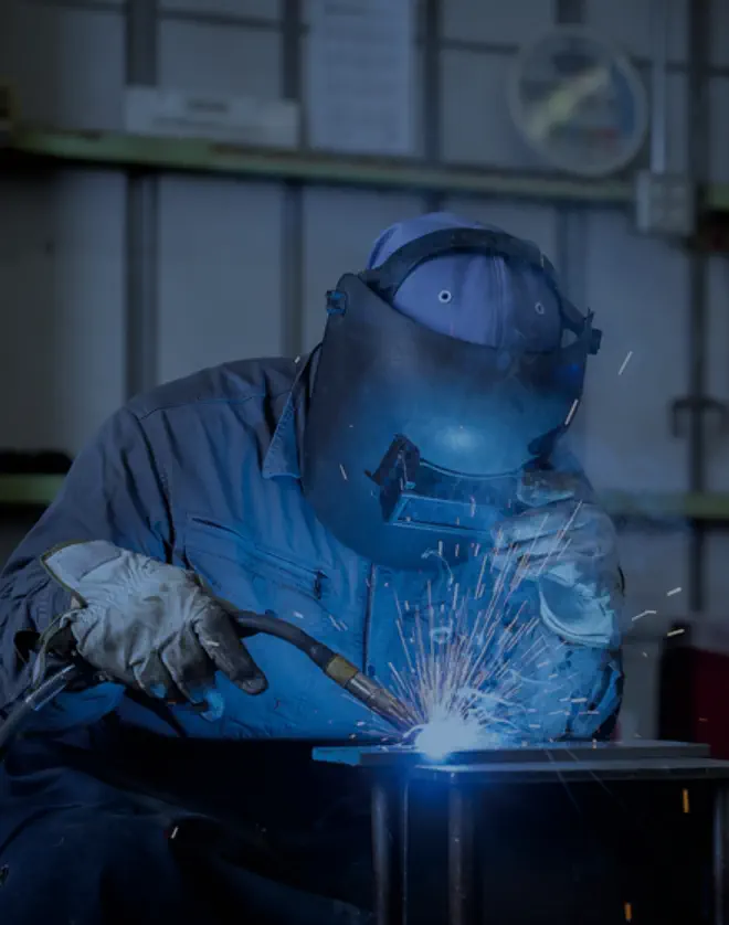 こんなオシゴトしています